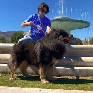 Meet your Posher, Jero